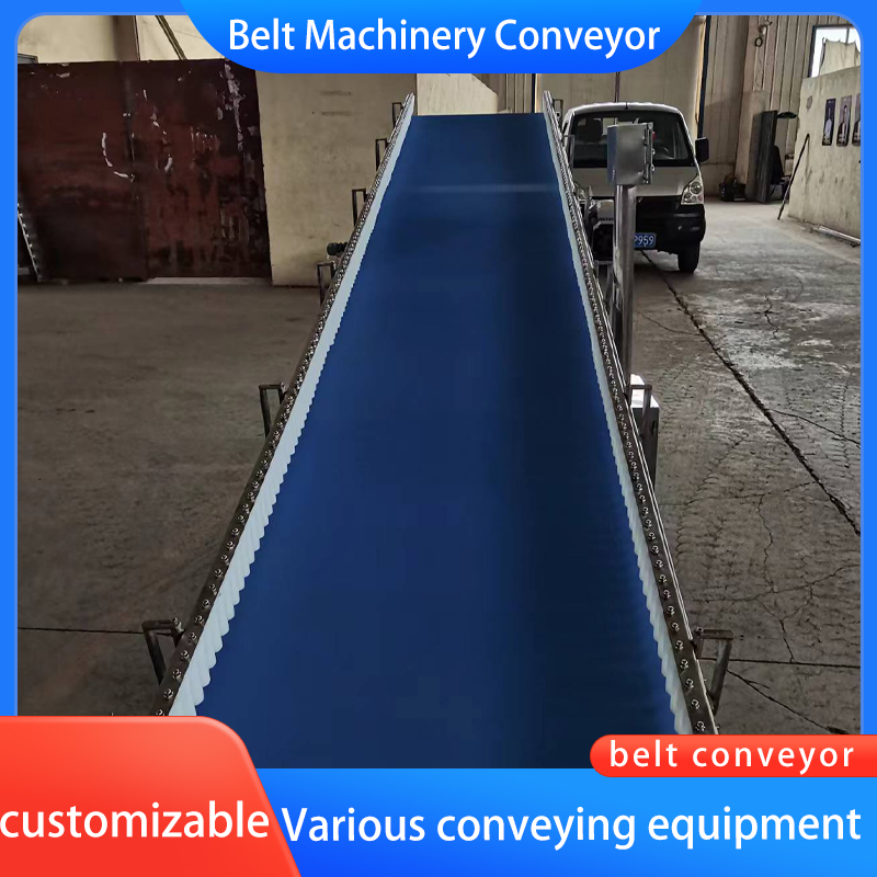Customized Belt Conveyor