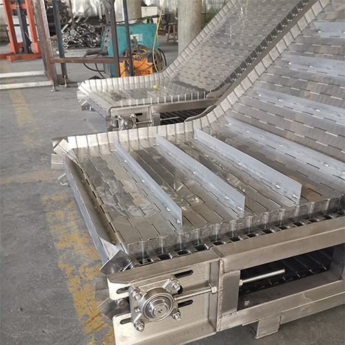 Chain Plate Elevator